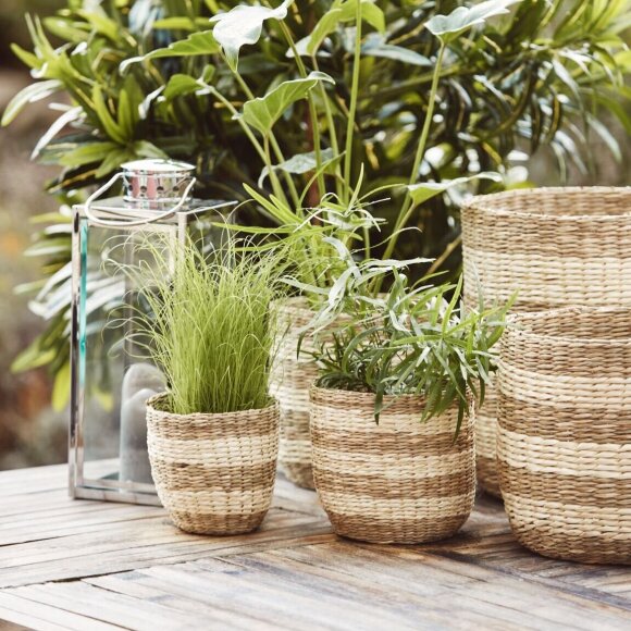 Seagrass Plant Baskets | Set of 5