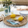 French Linen Napkin | Aqua & Beige