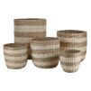 Seagrass Plant Baskets | Set of 5